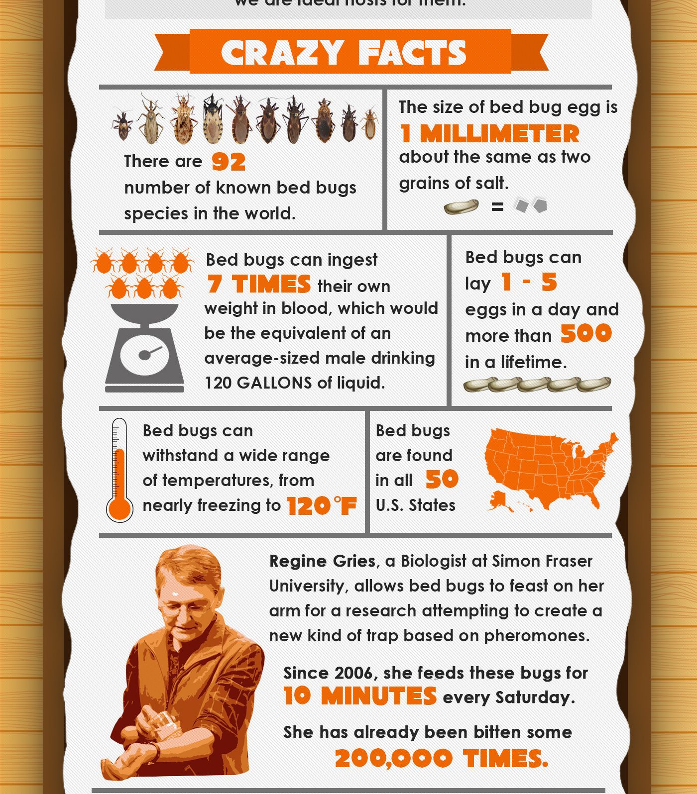 Bed Bug Facts And Information Infographic Bed Bug Facts Kill Bed Bugs Bed Bugs