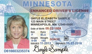 Mn Enhanced License Guide: Apply With Ease