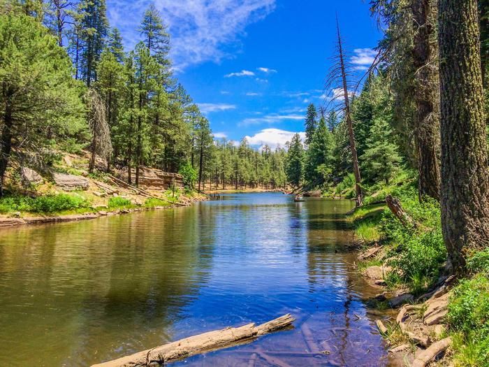 Sitgreaves National Forest