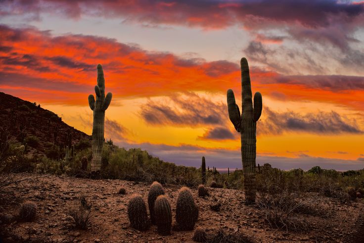 Sunset Phoenix Az